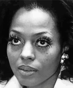 Black And White Diana Ross Paint By Numbers