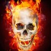 Blazing Skull Illustration Paint By Numbers