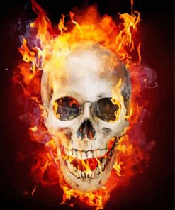 Blazing Skull Illustration Paint By Numbers