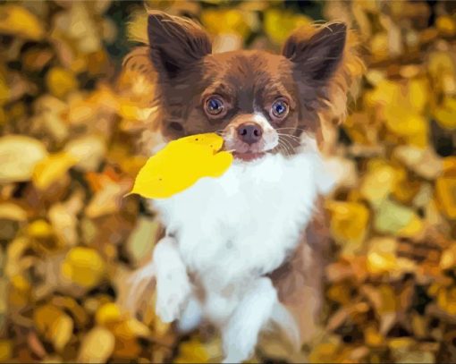 Long Haired Chihuahua And Leaves Paint By Numbers