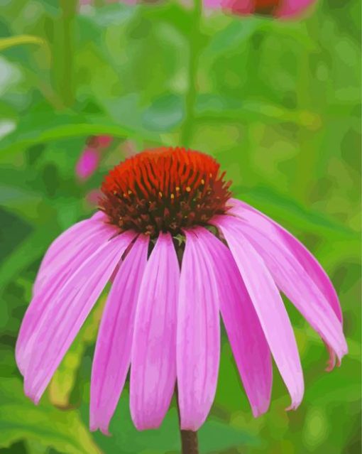 Purple Echinacea Paint By Numbers