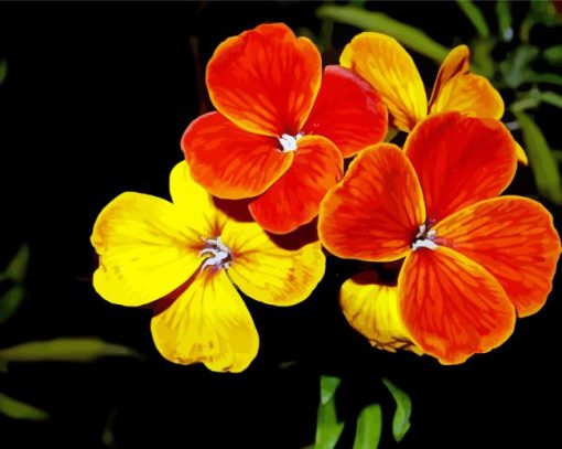 Yellow And Orange Wallflower Paint By Numbers