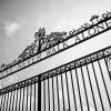 Black And White Shankly Gates Paint By Numbers