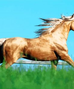 Blonde Fox Trotter Horse Paint By Numbers