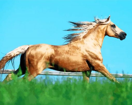 Blonde Fox Trotter Horse Paint By Numbers