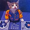 Cat Dj Paint By Numbers
