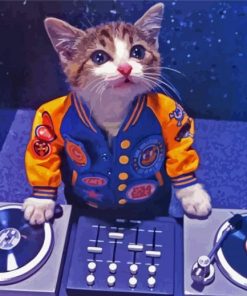 Cat Dj Paint By Numbers
