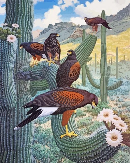 Harris Hawk Birds Paint By Numbers