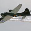Military Sally B Paint By Numbers