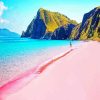 Pink Sand Beach Komodo Island Paint By Numbers