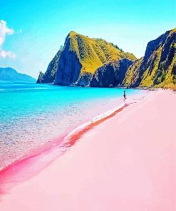 Pink Sand Beach Komodo Island Paint By Numbers