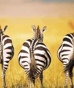 Zebra Butts Paint By Numbers