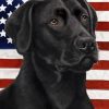 Black Lab With Flag Art Paint By Numbers