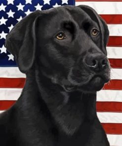 Black Lab With Flag Art Paint By Numbers