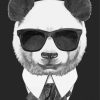 Cool Panda With Glasses Paint By Numbers
