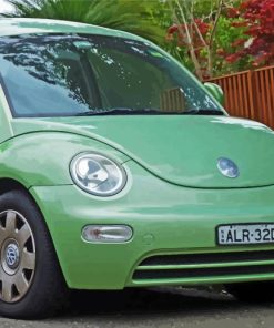 Green Be Beetle Paint By Numbers