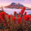 Red Flowers Mt St Helens Landscape Paint By Numbers