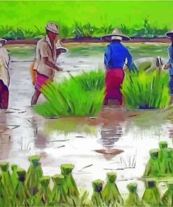 Ice Planting Central Thailand Art Paint By Number