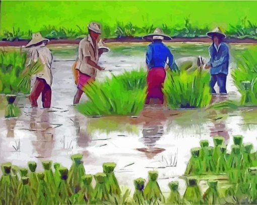 Ice Planting Central Thailand Art Paint By Number