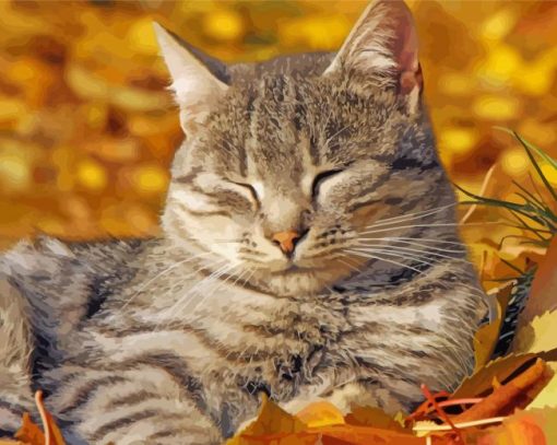 Sleeping Cat And Leaves Paint By Numbers