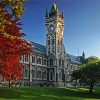 University Of Otago Paint By Number