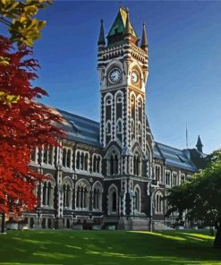 University Of Otago Paint By Number