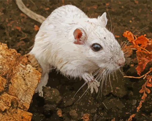 White Hairy Rat Beside Dried Leaves Paint By Numbers