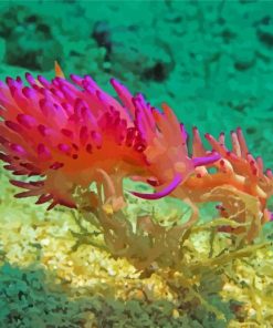 Aesthetic Sea Slug Under Water Paint By Numbers