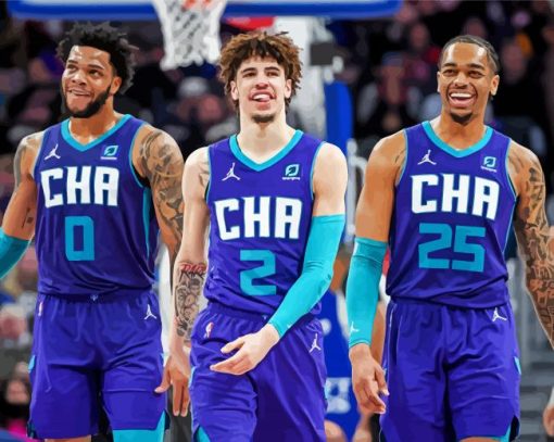 Charlotte Hornets Paint By Number