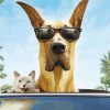 Dog And Cat In Car Paint By Numbers