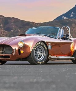 Ford Shelby Cobra Paint By Numbers