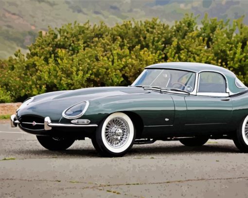 Green Jaguar Type 1 Paint By Numbers