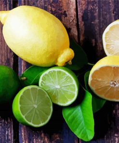 Lemons And Limes Paint By Numbers