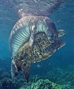Monk Seal And Sea Turtle Paint By Numbers