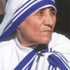 Mother Teresa Paint By Numbers
