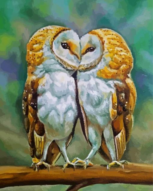 Owls In Love Art Paint By Numbers