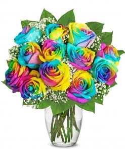 Rainbow Roses Paint By Numbers