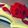 Red Rose On A Book Paint By Numbers