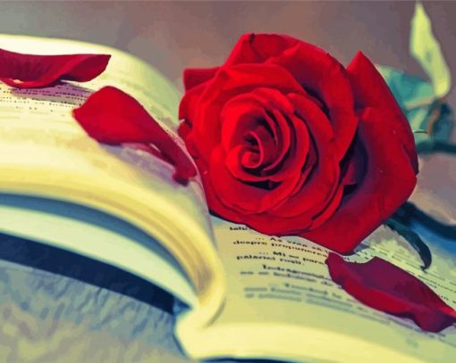 Red Rose On A Book Paint By Numbers