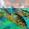 Red Eared Slider Turtles Under Water Paint By Number