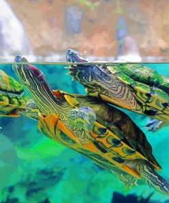 Red Eared Slider Turtles Under Water Paint By Number