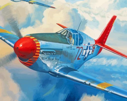 Red Tails Plane Paint By Number