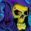 Skeletor Grim Reaper Paint By Number