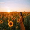 Sunflower Field With Lady Paint By Number