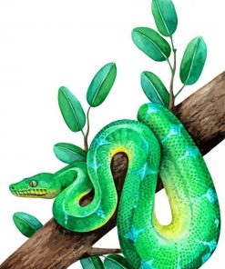 The Emerald Tree Boa Snake Paint By Numbers