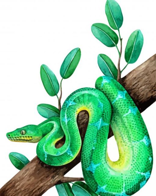 The Emerald Tree Boa Snake Paint By Numbers