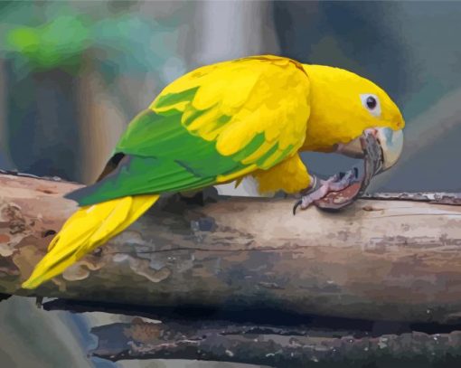 The Golden Conures Paint By Number