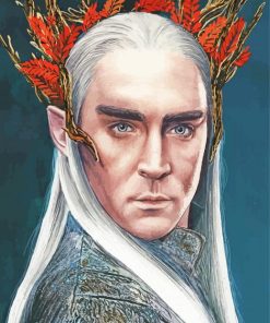 Thranduil Illustration Paint By Numbers