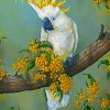 Umbrella Cockatoo On Branch Paint By Numbers