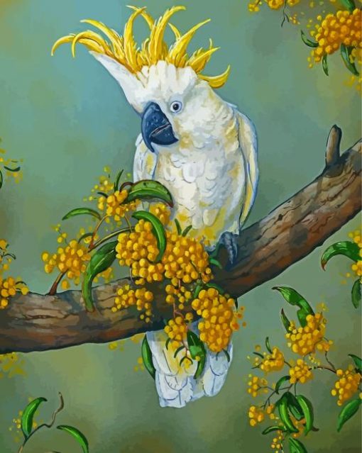 Umbrella Cockatoo On Branch Paint By Numbers